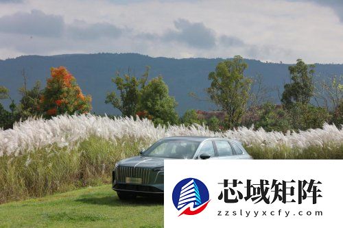 大五座SUV推荐！国潮豪华新选择，红旗HS6正式预售！