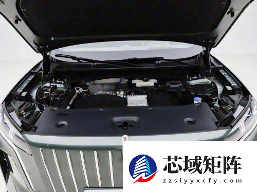 大五座SUV推荐！国潮豪华新选择，红旗HS6正式预售！