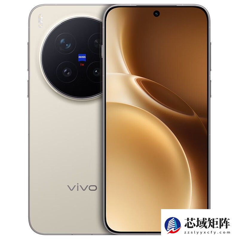 vivo X300 Pro 12GB+256GB 旷野棕