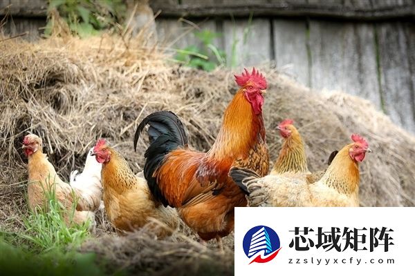 法国防疫专家警告：若禽流感变异 将比新冠更可怕！