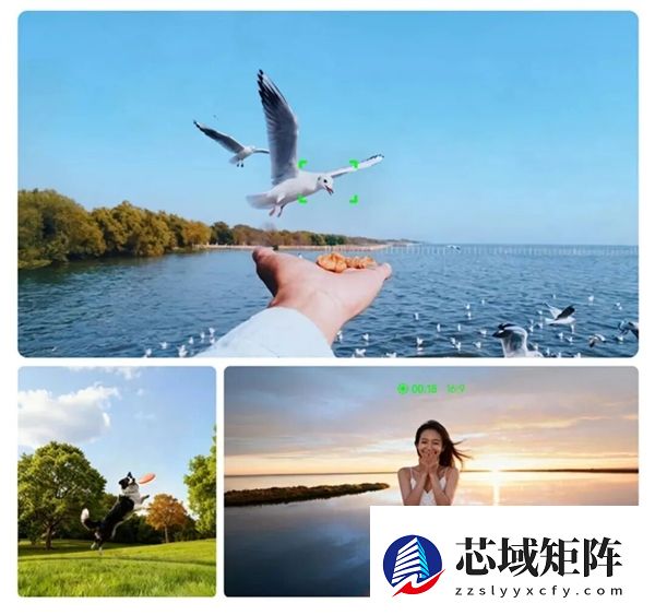 阿里千问开始蹬鼻子上脸了