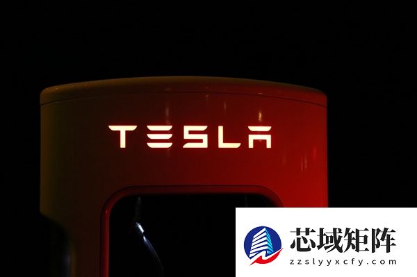 男子开特斯拉上高速突然失去动力 特斯拉售后回应故障原因前后不一