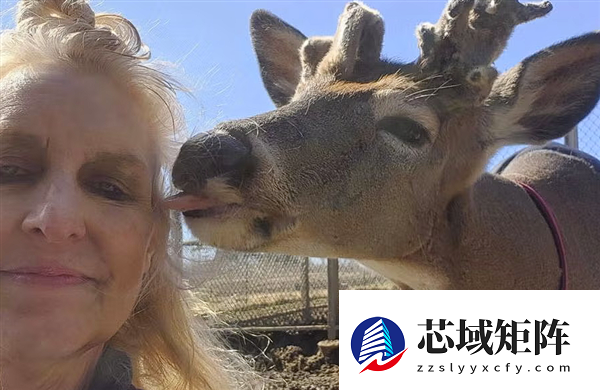 美国女子热衷救鹿12年 却惨遭公鹿猛烈袭击致死！