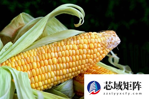 专家回应包装玉米是“僵尸玉米”：不可能通过科技返老还嫩
