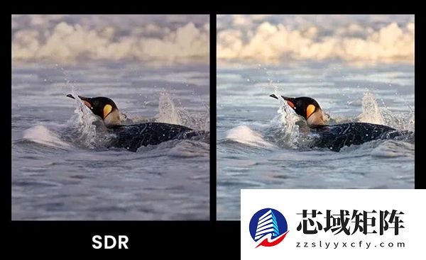 有多少人半夜玩手机 结果被HDR照片闪瞎了