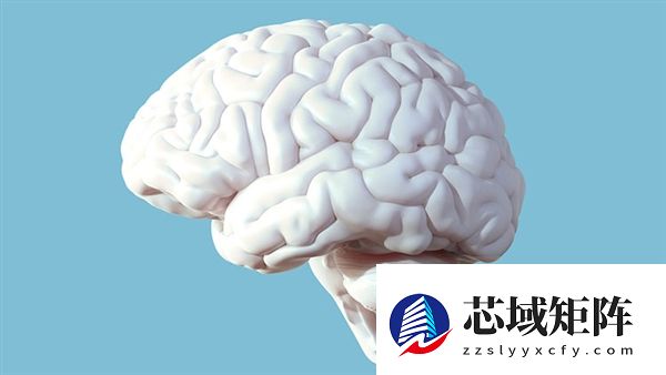 研究发现大脑“断崖式衰老”的3个年龄：57岁、70岁和78岁