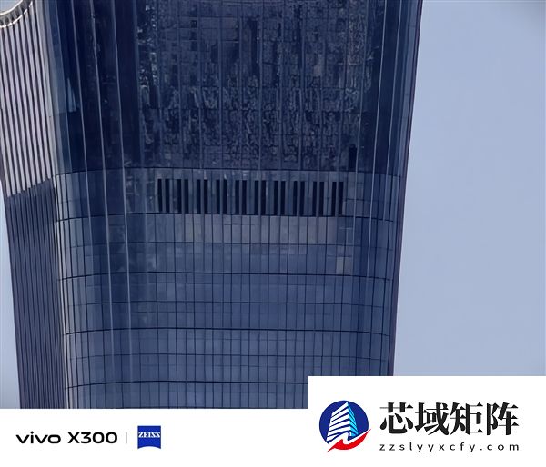 vivo X300增距镜套装上手：手机打鸟不是梦