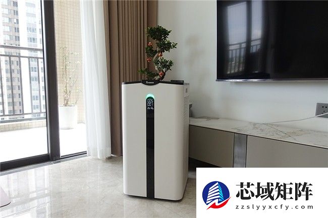 2025中小户型除甲醛空气净化器权威横评：十大品牌实测排行榜揭晓