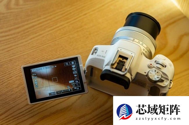 兼顾轻便与性能 佳能EOS R50拍摄体验