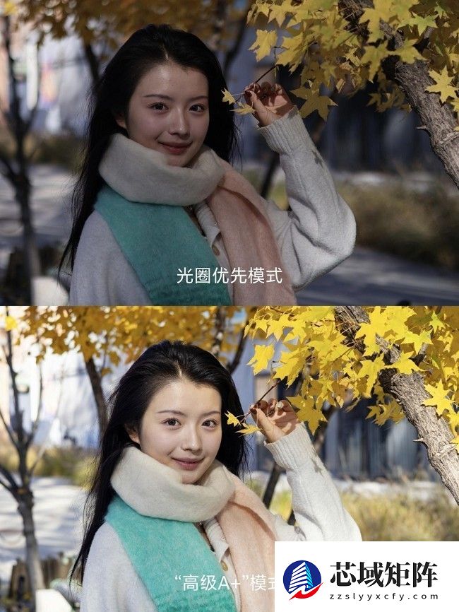 兼顾轻便与性能 佳能EOS R50拍摄体验