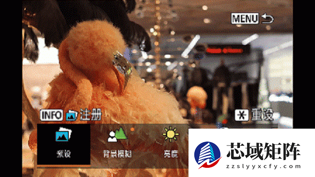 兼顾轻便与性能 佳能EOS R50拍摄体验