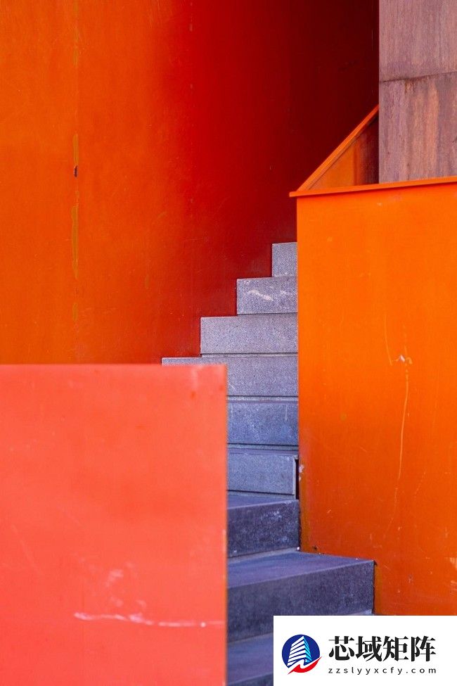 兼顾轻便与性能 佳能EOS R50拍摄体验