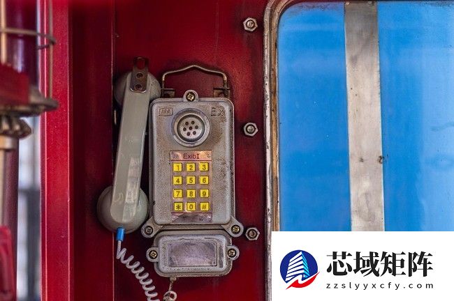 兼顾轻便与性能 佳能EOS R50拍摄体验