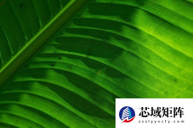 兼顾轻便与性能 佳能EOS R50拍摄体验