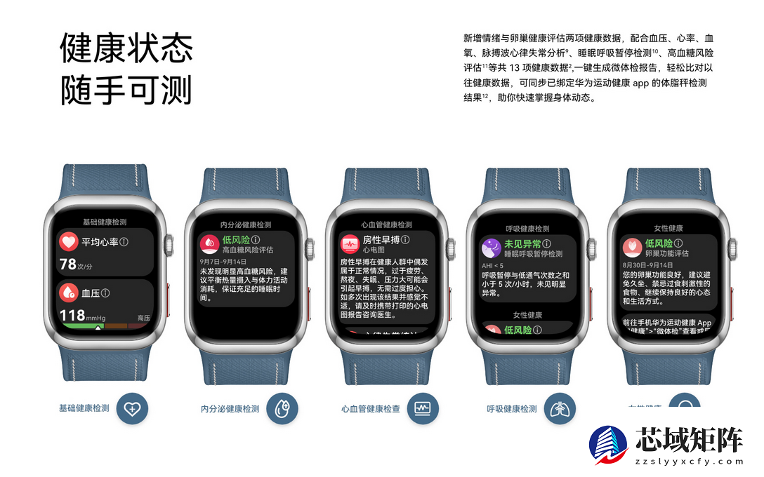 送礼就送健康,就送华为WATCH D2,腕上血压专家精准守护冬日健康