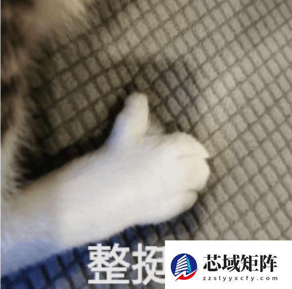 新国标要来了：你可能再也买不到9块9的充电宝了