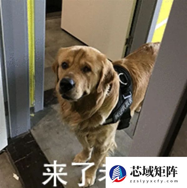 新国标要来了：你可能再也买不到9块9的充电宝了