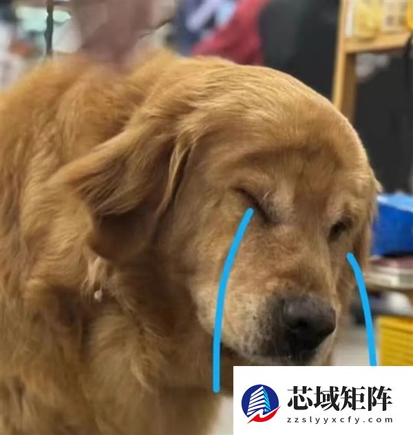 新国标要来了：你可能再也买不到9块9的充电宝了