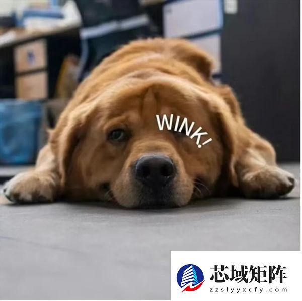 新国标要来了：你可能再也买不到9块9的充电宝了