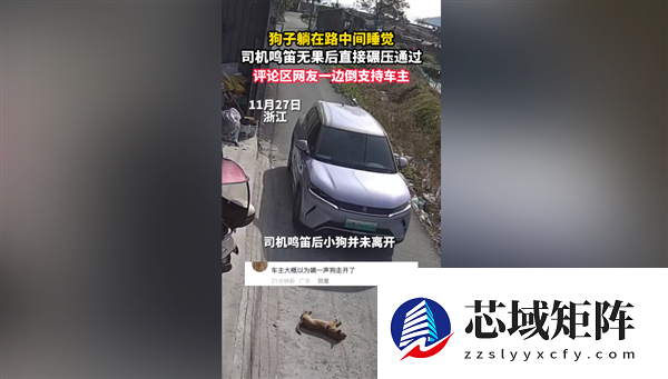 狗在路中间睡觉司机鸣笛无效后辗压 网友吵翻：到底要负责吗