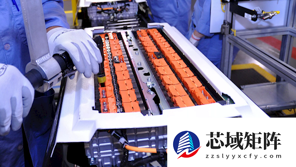 电池故障毒气涌入车舱致车主死亡!福特汽车及经销商被告上法庭