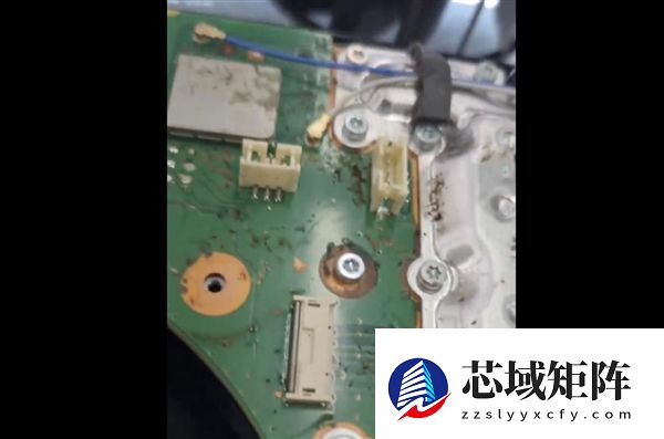 无法开机的PS5拆开后不忍直视！活蟑螂乱窜、内部满是粪便