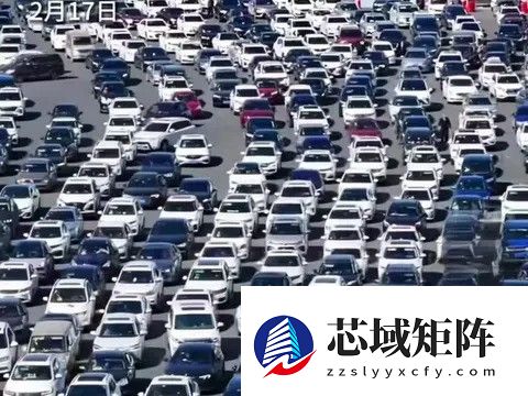 中国新能源汽车需摒弃黑公关思维，理性应对舆论监督