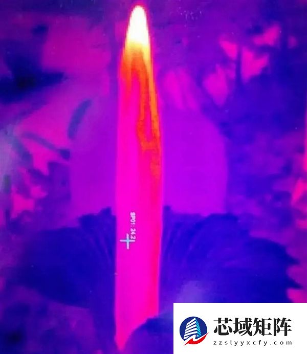 世界上为数不多的恒温植物:温度可达40℃让臭气飘更远!