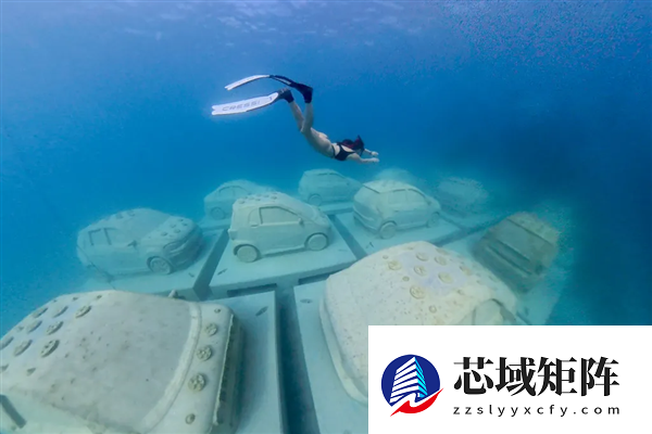 迈阿密将22辆“汽车”推入海底 给珊瑚当家