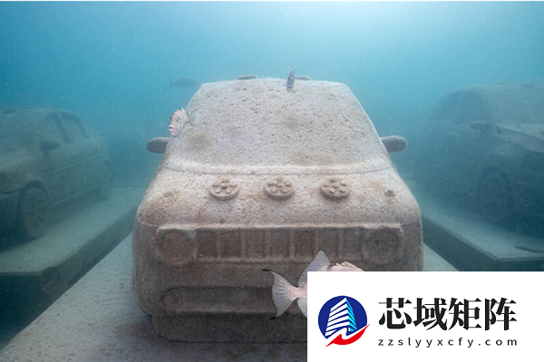 迈阿密将22辆“汽车”推入海底 给珊瑚当家