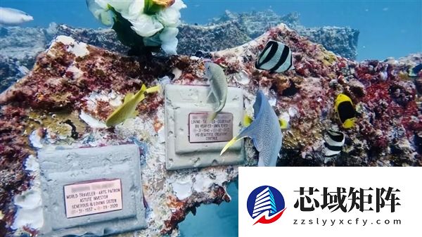 迈阿密将22辆“汽车”推入海底 给珊瑚当家