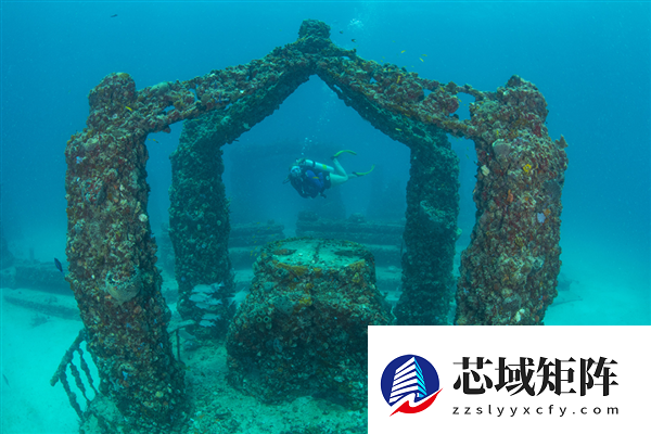 迈阿密将22辆“汽车”推入海底 给珊瑚当家