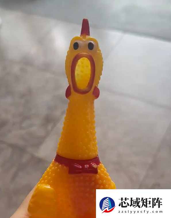 泰国一男子每天狂按尖叫鸡 女邻居被吵整整十年