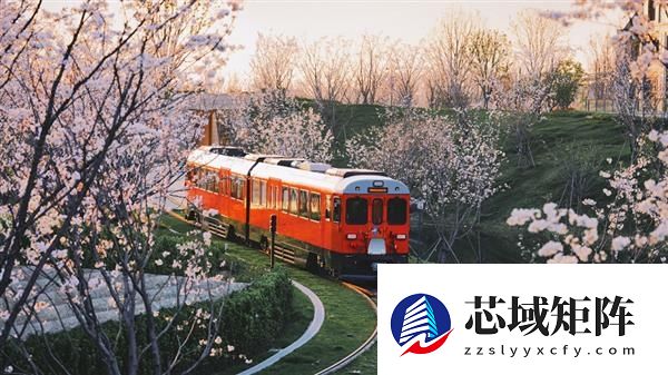 2025年华为花粉年会官宣：12月19日上海练秋湖见！