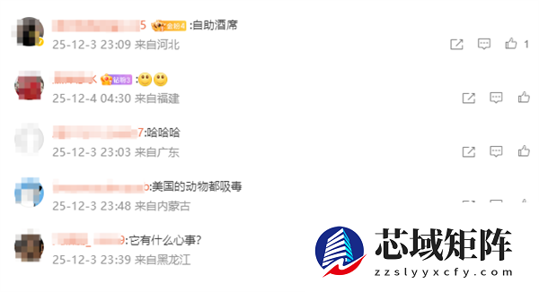 美国一浣熊大闹酒铺 偷喝烈酒后醉倒厕所 超萌姿态逗笑网友