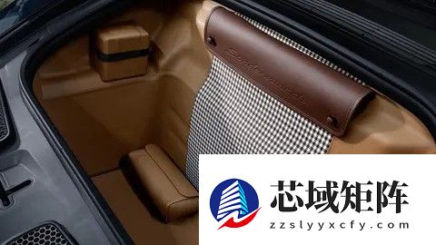 保时捷911 GT3 Ocelot特别版：森林之魂，野性新生