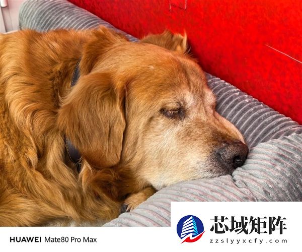 用了几天华为Mate80 Pro Max 我感觉它堆料有点过猛了