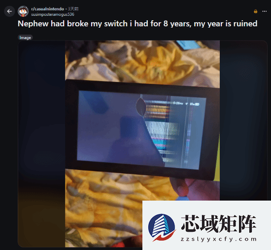 八年Switch毁于侄子一日玩耍 引发玩家共鸣与热议