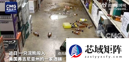 美国一浣熊大闹酒铺 偷喝烈酒后醉倒厕所 超萌姿态逗笑网友