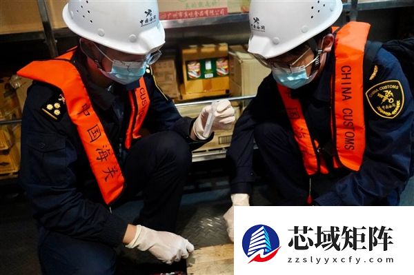 全国首例!我国截获斯特伦克氏锯白蚁:外来物种 严重威胁古建筑遗迹