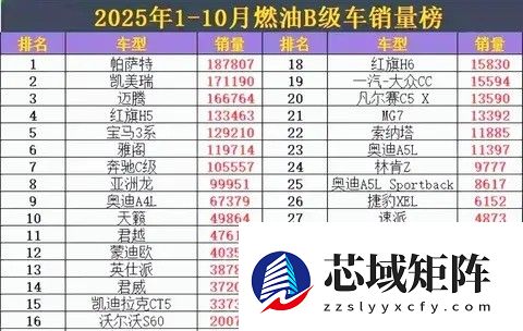 帕萨特登顶B级车销量榜首，新能源蚕食燃油市场