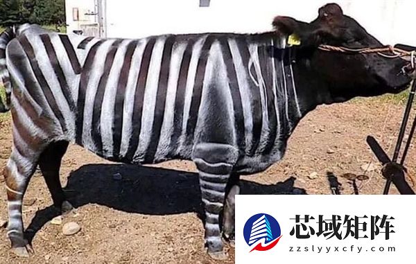 《疯狂动物城 2》的15个“隐藏彩蛋” 不知道你就白看了