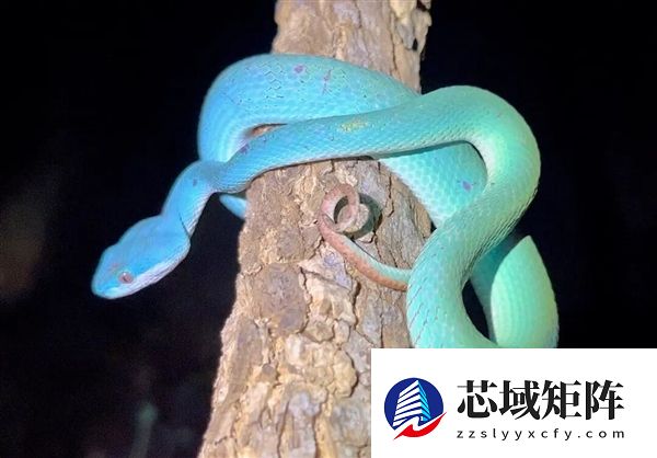 《疯狂动物城 2》的15个“隐藏彩蛋” 不知道你就白看了