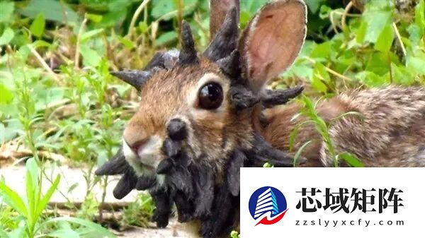 《疯狂动物城 2》的15个“隐藏彩蛋” 不知道你就白看了