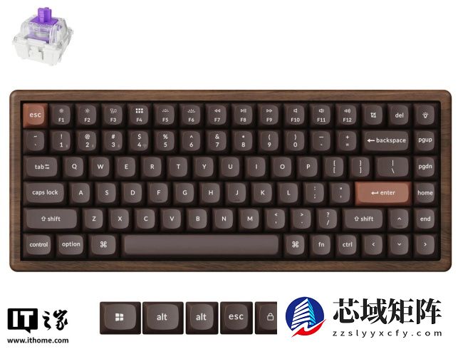 Keychron 推出 K2 HE 全木特别版机械键盘：三模连接，佳达隆双轨磁轴