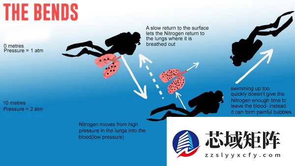 深潜后上升太快 秘鲁潜水员身体肿成大力水手：太痛苦！