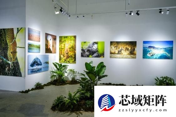 “雕刻光影 制胜瞬间：索尼微单15周年摄影展”正式亮相集美·阿尔勒摄影季