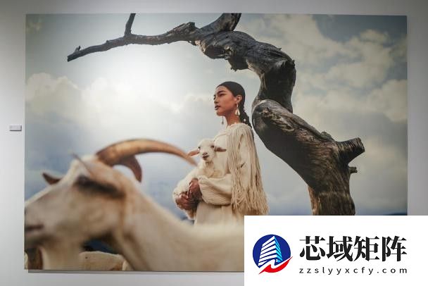 “雕刻光影 制胜瞬间：索尼微单15周年摄影展”正式亮相集美·阿尔勒摄影季