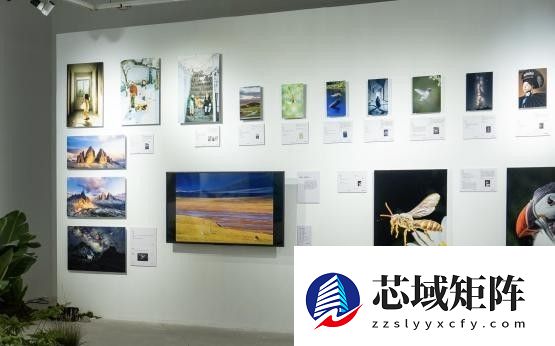 “雕刻光影 制胜瞬间：索尼微单15周年摄影展”正式亮相集美·阿尔勒摄影季