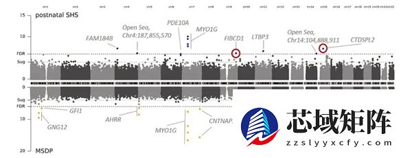别在家里抽烟了！二手烟正在“修改”你家孩子的DNA